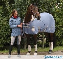 *Dump Paardenartikelen*