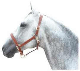 Cognac kleurige artikelen