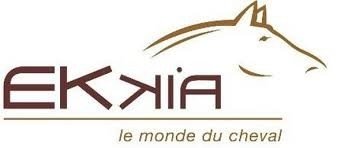Equi théme/Ekkia