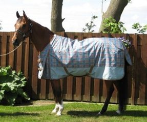 Rider/Horse Pro, S&K