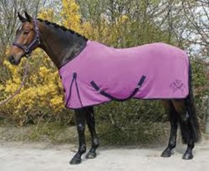 Lila/paarse combinaties