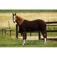 Equi-Th&eacute;me fleece deken choco.