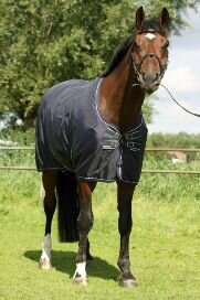 Equi-Th&eacute;me fleece deken grijs.