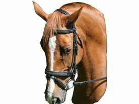 Luxe hoofdstel Diamond zwart pony/full.  