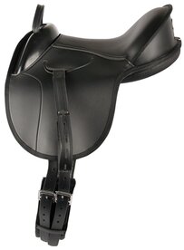 Ponyzadel compleet.