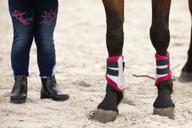 Beenbeschermers Flextrainer Diva Stella zilver/pink.