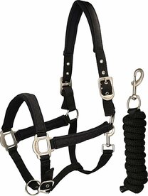 Halsterset Kinros black.