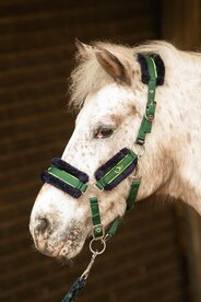 Halsterset stout! Lime Fur.