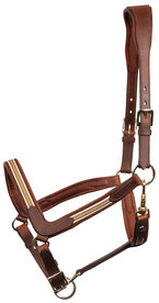 Anatomisch halster leder Flash brown.