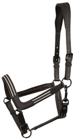 Anatomisch halster leder Flash black.