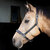 Halster leder Finesse black.