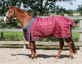 Staldeken "Wave" 200gr. rhodondendron 165cm.