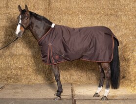 Outdoordeken Thor brown 100gr. 205 cm.