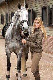 Bomberjack all year chocolat.