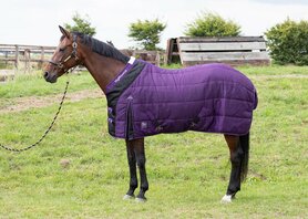 Highliner 200gr. purple-black staldeken 175cm.