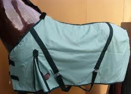 **Premiere zomerdeken mintgroen ponymaten.