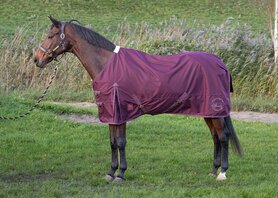 Regendeken Thor 0-grams fleece lining fig 205cm.