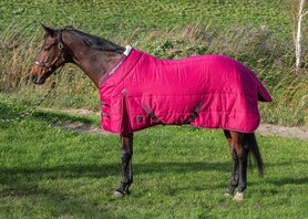 Highliner 200gr. beaujolais staldeken 215cm.