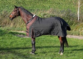 Highliner staldeken 300gr. black/brown 195/205cm.