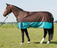 Outdoordeken Thor brown/turquoise 200gr. 155cm.