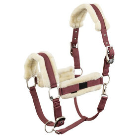Halster BR Ilja roan rouge.