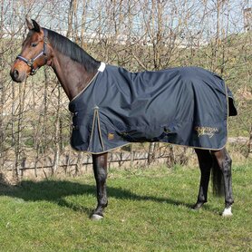 Regendeken Thor 0-grams fleece blueberry.