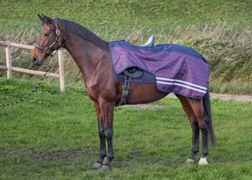 HH uitrijdeken  waterdicht dress blues.