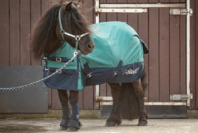 Regendeken 0gr STOUT! Teal.