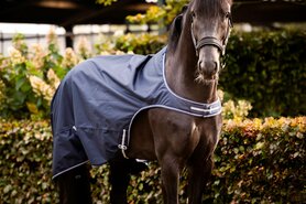 Stapmolendeken waterproof navy.