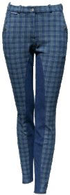 Rijbroek geruit blue.
