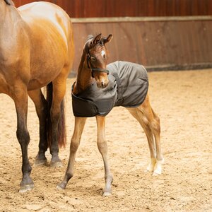 Veulendeken Stable 100gr. navy.