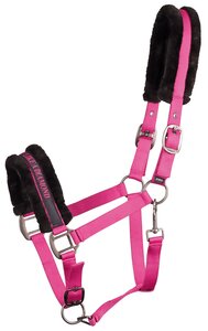 Halster Lyrics fuchsia