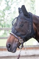 Flymask with ears black.