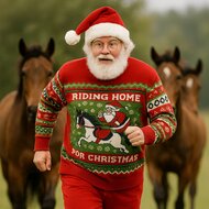 Foute kersttrui Santa + Horse. Foute kersttrui Santa + Horse.