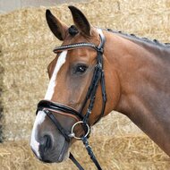 Hoofdstel black cognac.