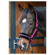 Halster Lyrics fuchsia shine bright like a diamond