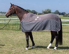 Cooler/fleecedeken Stars grey.