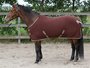 HH Trakehner plus rijbroek black coffee._