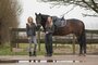 Rijlegging Equitights Just Ride Urban._