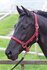 Halster Bit roze._