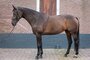 Longeerhulp Soft zwart/bruin_