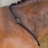 Neckrope Balancer  zwart._